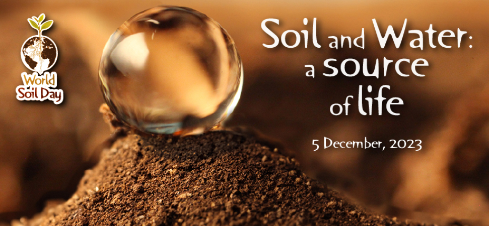 روز جهانی خاک سال 2023: خاک و آب، مایه حیات