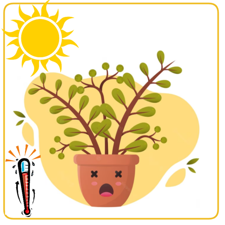 تنش گرمایی در گیاهان