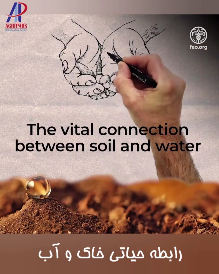 رابطه حیاتی خاک و آب (روز جهانی خاک 2023)