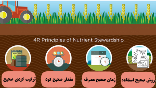4R قانون در تغذیه گیاه