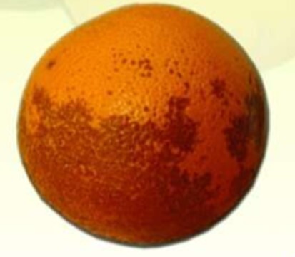 علایم سرمازدگی روی پوست میوه پرتقال